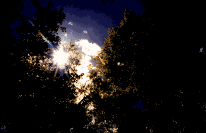 LIGHT: The first steps to fulfillment are focus and effort...  CLICK HERE FOR MORE.