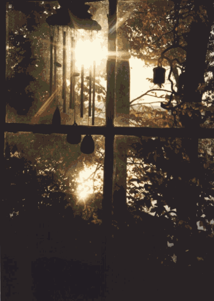 SILVER & GOLD AT SUNRISE:  In the pursuit of understanding, we may find ouselves in a search for truth and love.  We reach through.. CLICK HERE FOR MORE.