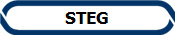 STEG