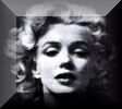Marilyn's Photographers