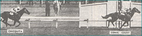 Comic Court wins 1950 Melbourne Cup