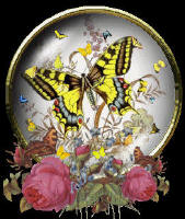 Hi! Welcome to my web site!