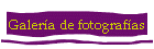 Galer�a de fotograf�as