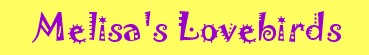 title graphic