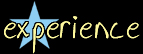 Experience