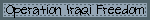OIF.gif (1101 bytes)