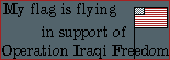 flagflying.gif (2539 bytes)
