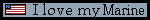 mtmarine.gif (1113 bytes)