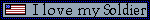 mtsoldier.gif (779 bytes)