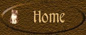 Home Button