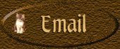 Email Me