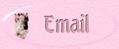 Email Me