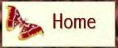 Back to Home Page