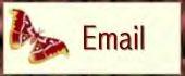 Email Me
