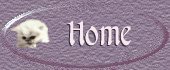 Home Button