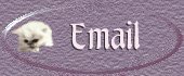 Email Me