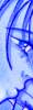 Thanx 800 Hit!!! Dear M�� J���