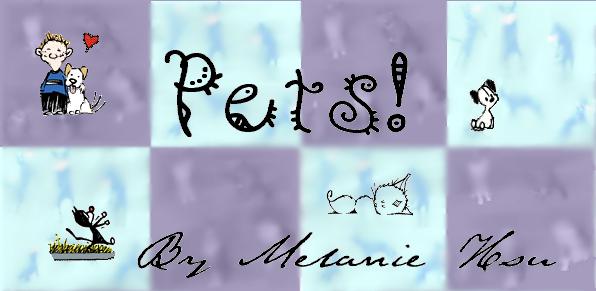 Click on Pets to continue!