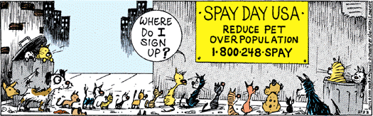 From "Mutts", by Patrick McDonnell