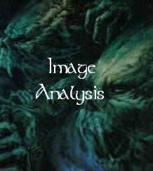 Click to view Image Analysis Section