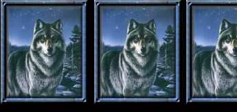 Blue Wolf