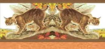 Bobcats