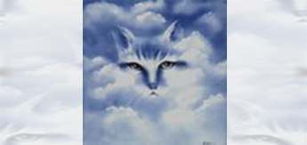 Cloud Cat