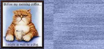Morning Coffee