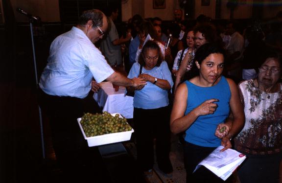 Distribui&ccedil;&atilde;o das uvas