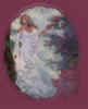 interface20 puce3.jpg (2578 octets)