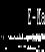 animail6.gif (14954 bytes)