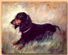 Another Sausage the Wonder Daschund