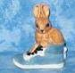 Boots the Rabbit from Family Favourites