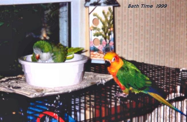Bath Time 99