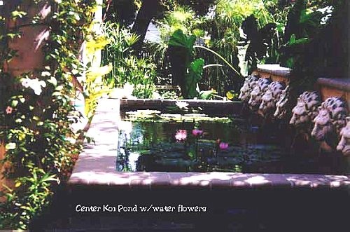 Center Koi Pond