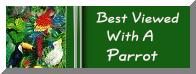 Best Viewed with a Parrot