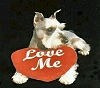 Sadie with Heart