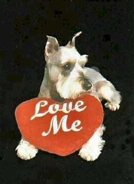 Sadie with Heart