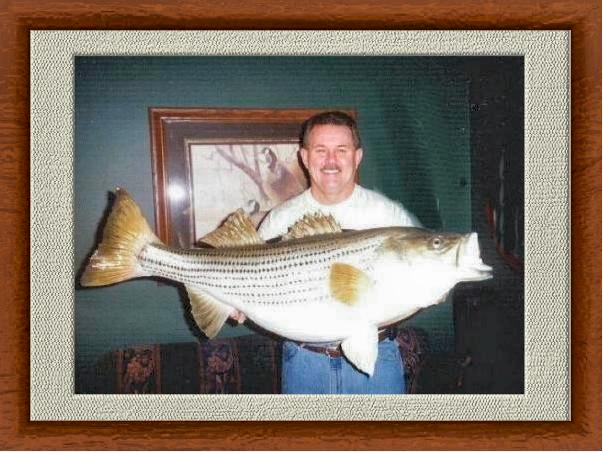 Steve and Fish