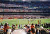 brownsview2.JPG (85163 bytes)