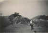 gargett wagon 2.jpg (12454 bytes)