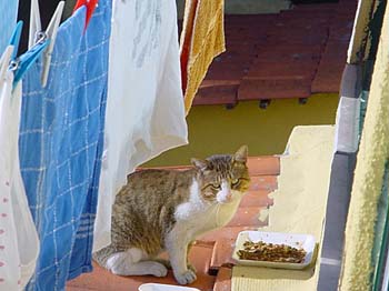 Dsc02513_U