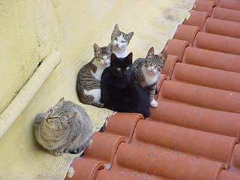 Dsc02520_U