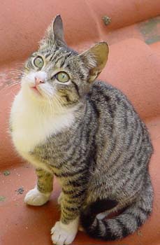 Dsc02524_U