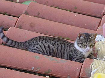 Dsc0255_U