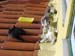 Dsc02543a_U