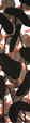 fishlong2small.jpg (13934 bytes)