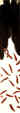 fishlong3small.jpg (12248 bytes)
