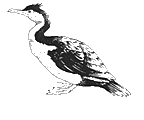 Click for Land o'Links
