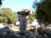 binissafultaula3.jpg (164519 bytes)